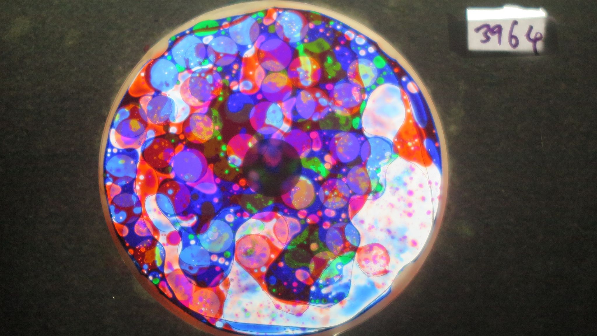 BV3964 bubble vision oil wheel